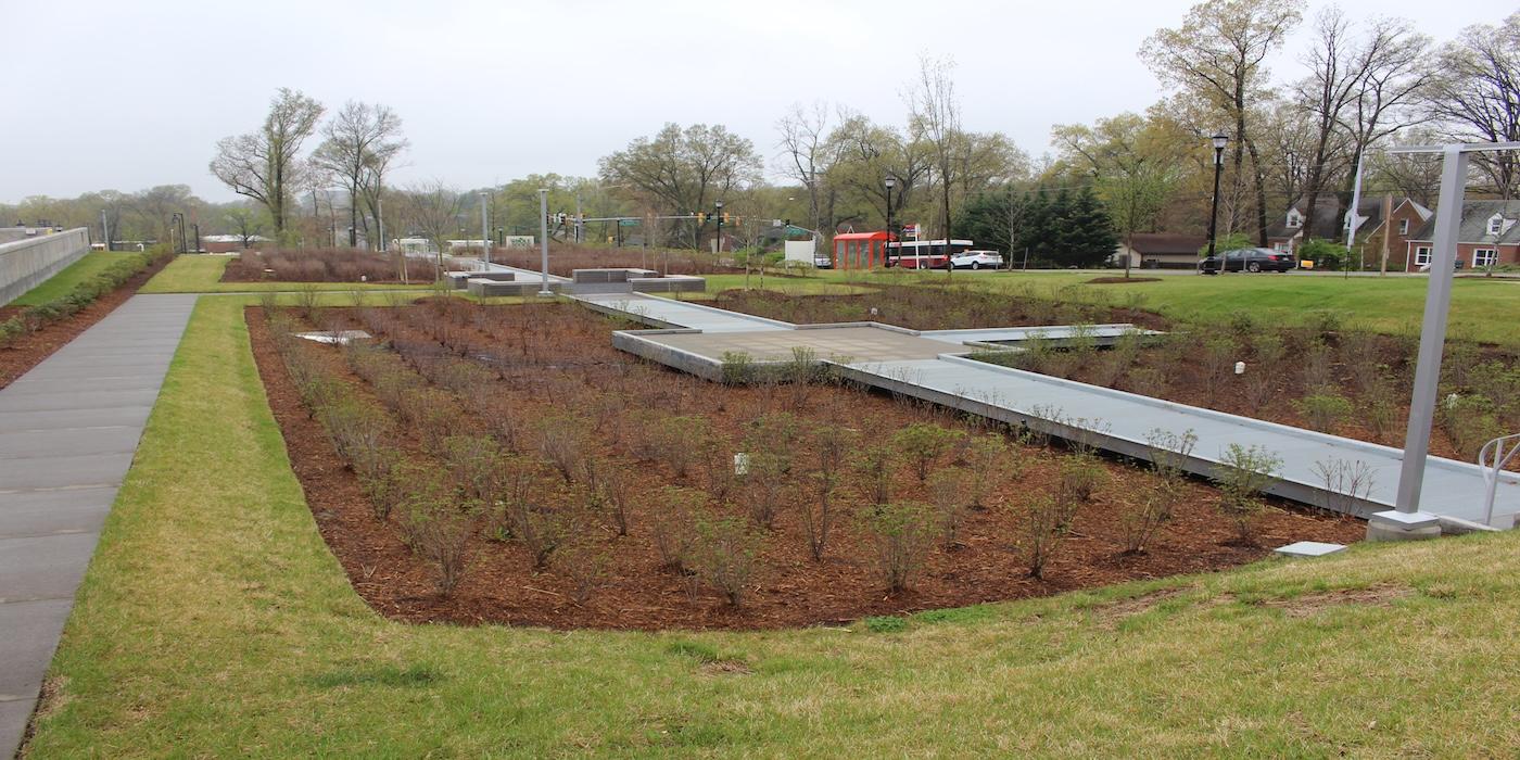 A rain garden near Riverdale Park in Maryland