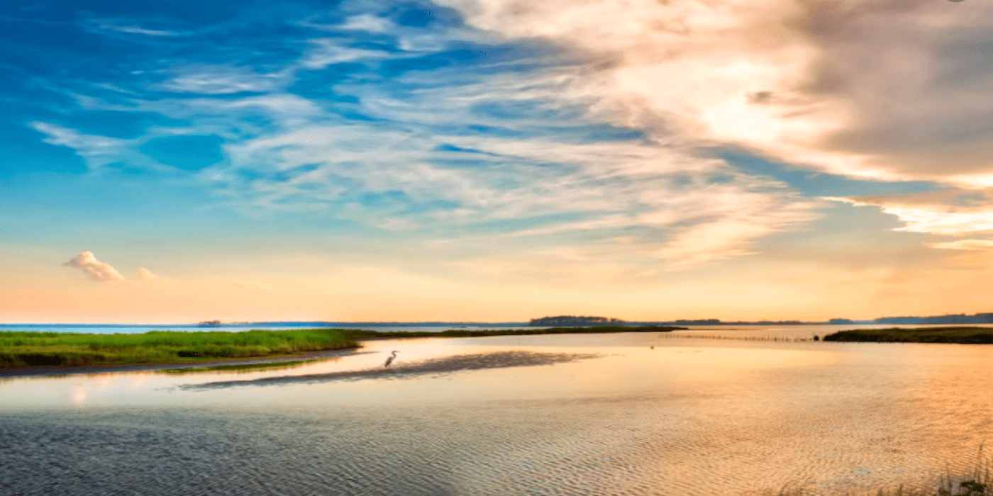 Photo of the Chesapeake Bay