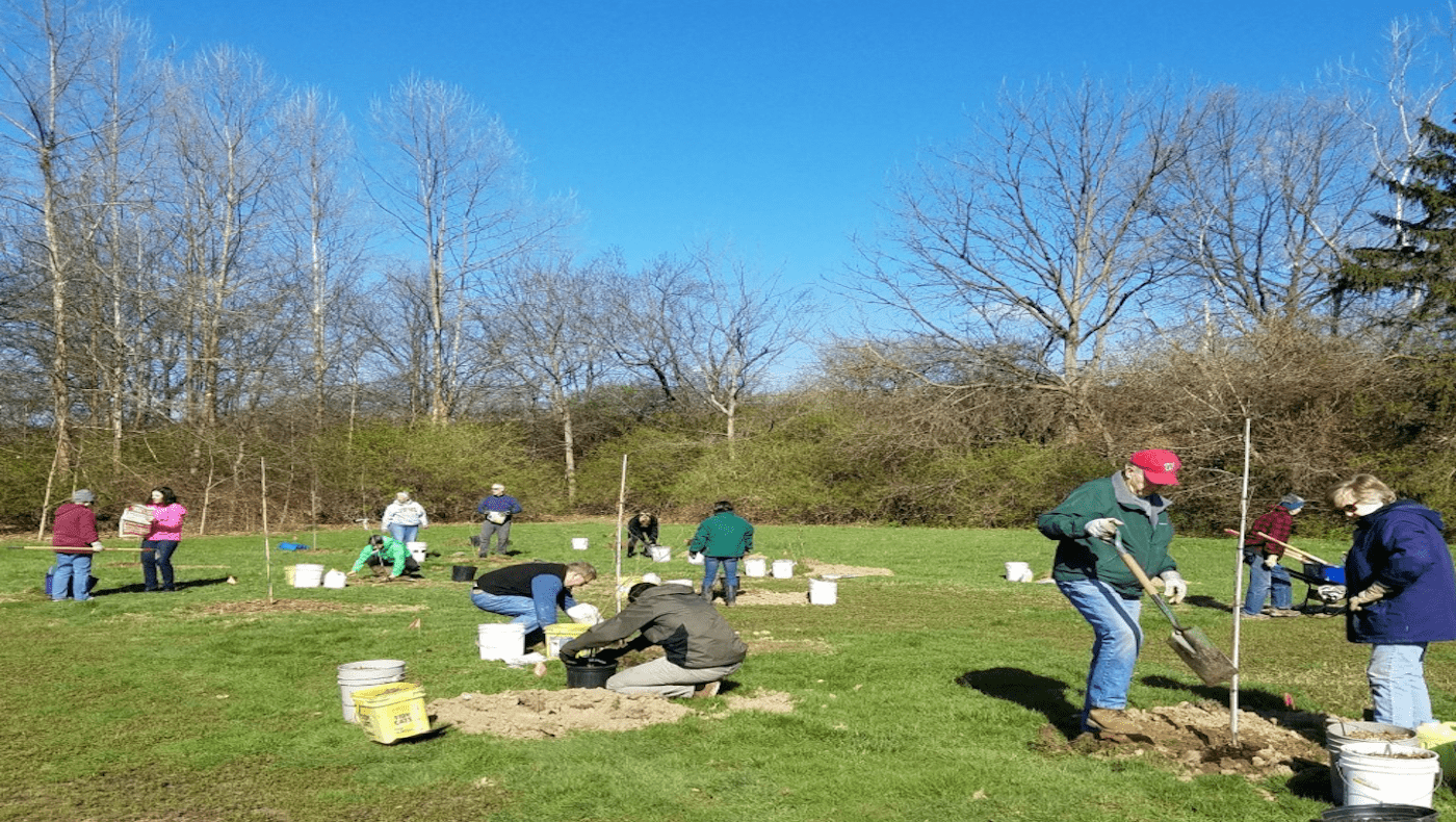 Tree planting in Frederick, MD