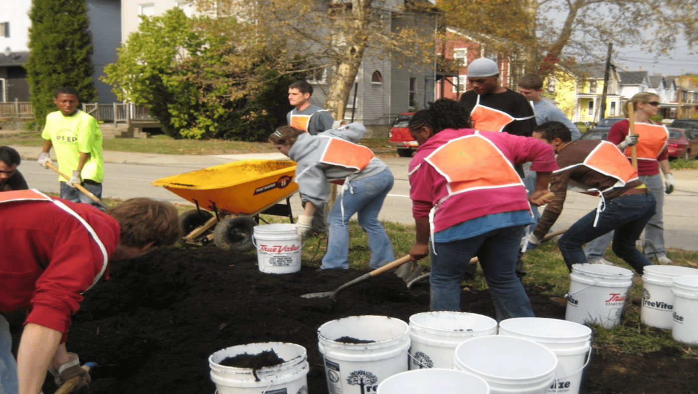 Tree planting in Maryland