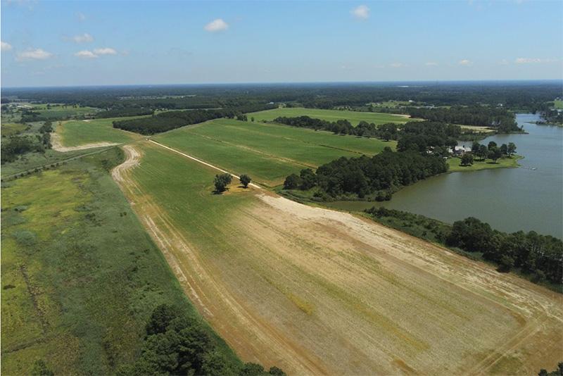 A green field turning yellow/brown due to saltwater intrusion