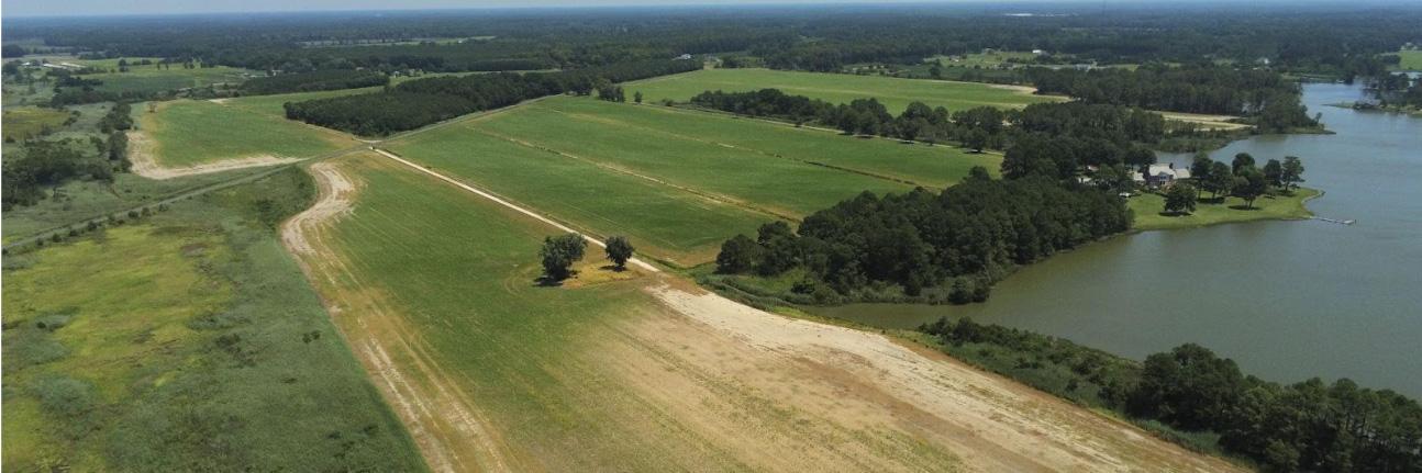 A green field turning yellow/brown due to saltwater intrusion
