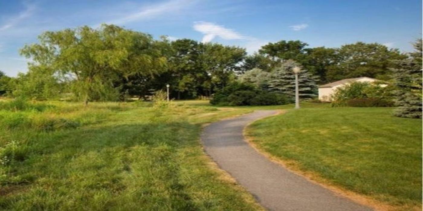 path in an open field