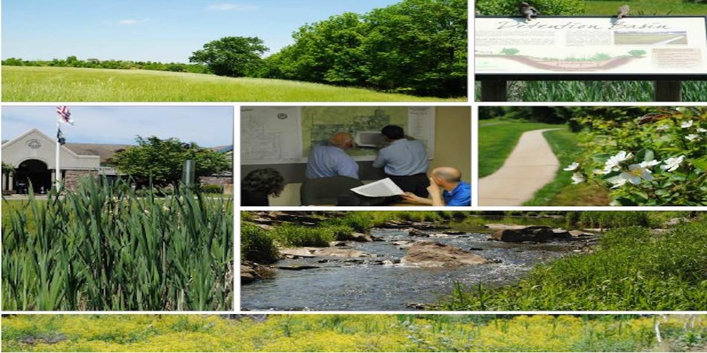 collage of green images