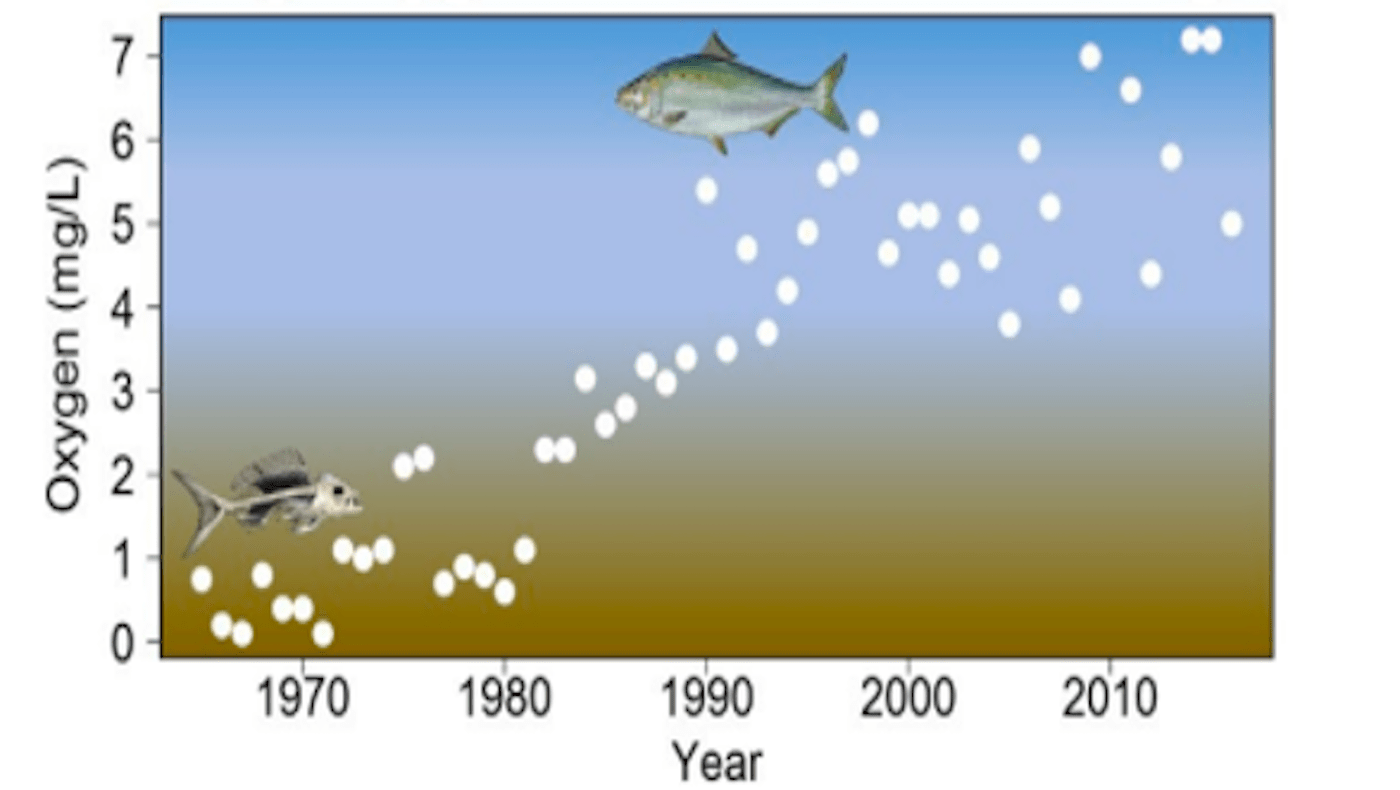 July Oxygen at Ben Frankin Bridge