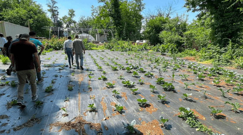 People on an urban farm