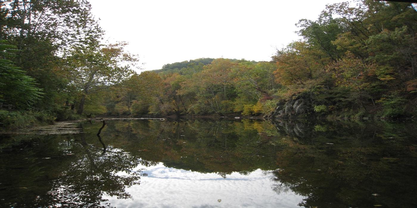 stream in forefront and trees in the background