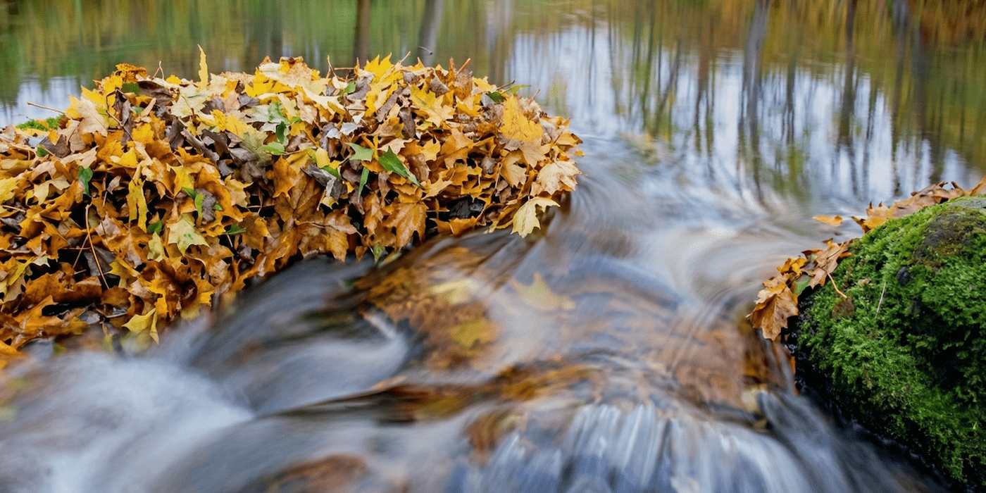Water from stream rushing over rocks