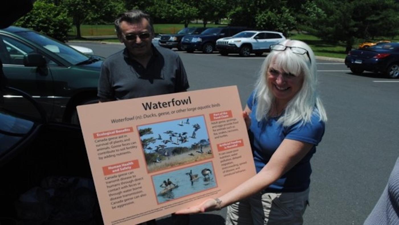 Green infrastructure