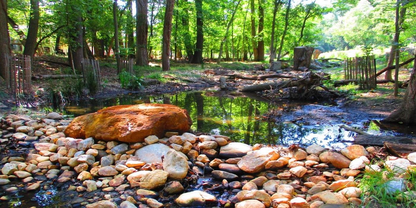 Stormwater; rocks piled up by a puddle, with a green forest in the background
