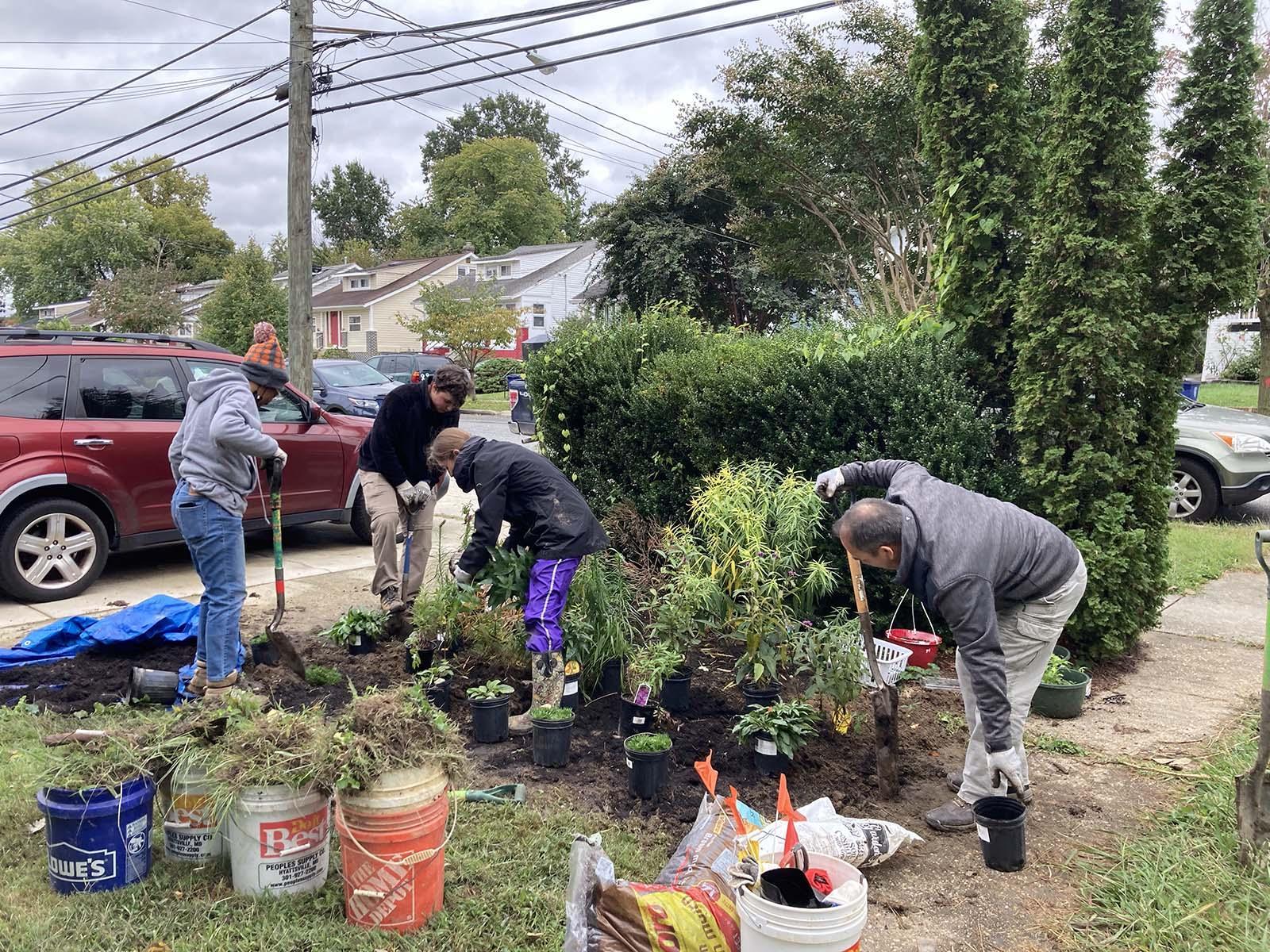 People planting plants