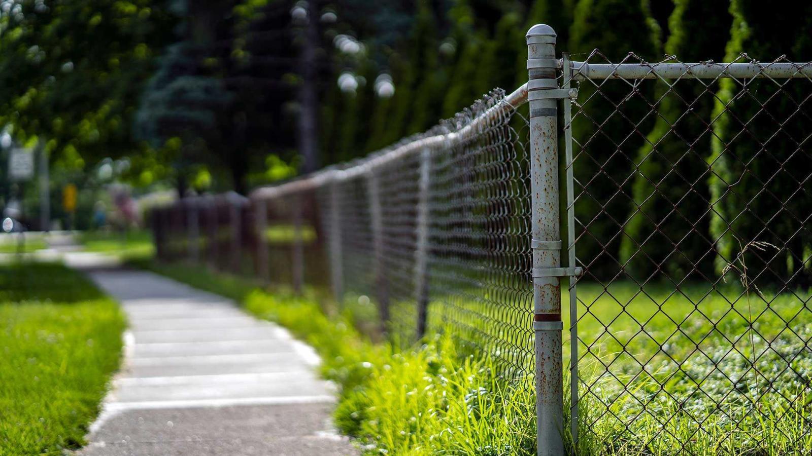 Photograph on a side walk and fence surrounding some grass. 