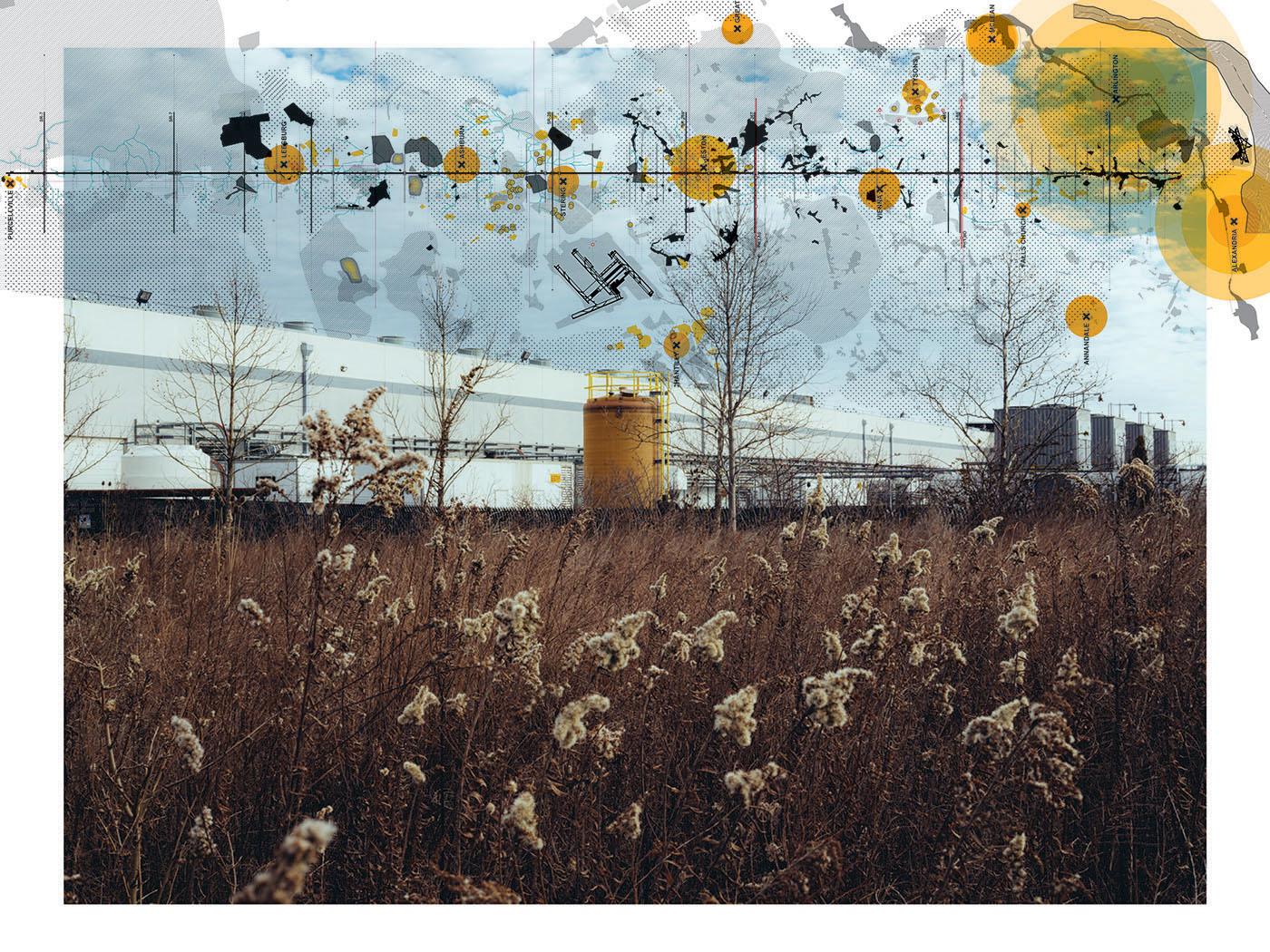 A collage of a cotton field with farm equipment in the background and an overlayed graphic of a topographical timeline