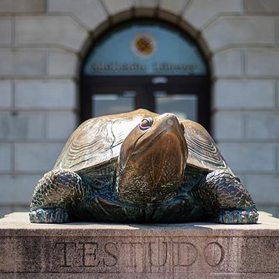 Testudo terrapin statue