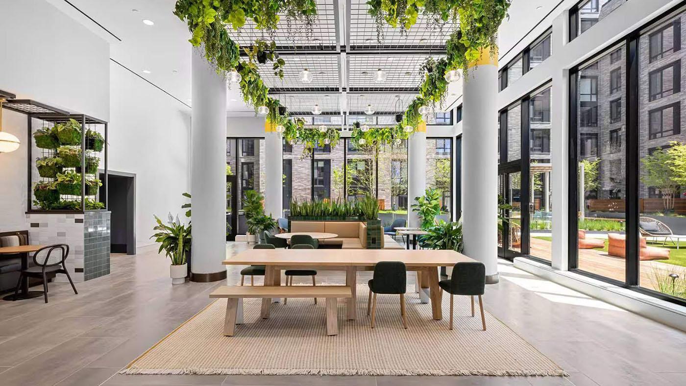 Interior of a lobby with dangling greenery from the ceiling and a desk and chairs in the middle