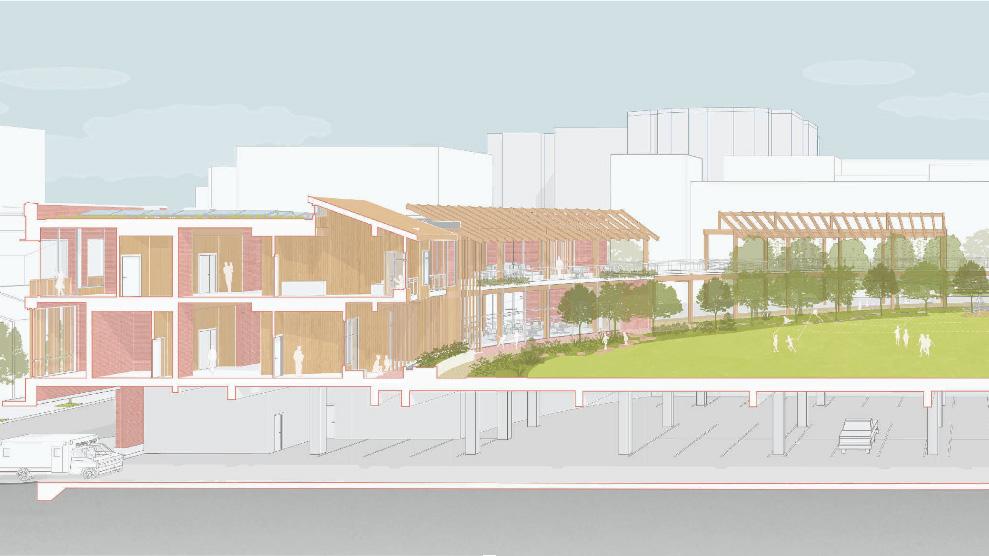 Shannon Sinnicki's rendering